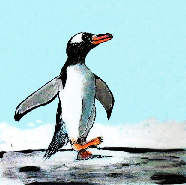 Gentoo Penguin 125mmx125mm greeting card v3