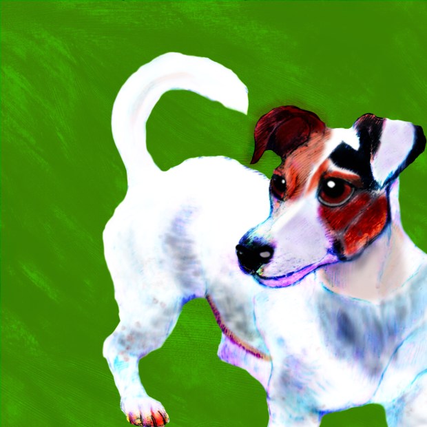 Jack Russell Dark 125mmx125mm